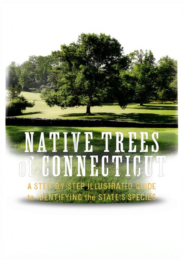 Connecticut Travel Guide Kindle by Globe Pequot Enhanced Typesetting-0