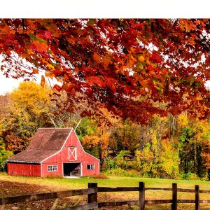 Connecticut Travel Guide Kindle Edition DK Travel Enhanced Typesetting-0