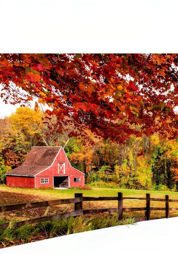 Connecticut Travel Guide Kindle Edition DK Travel Enhanced Typesetting-0